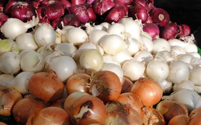 صادرات سب‌زمینی و پیاز ممنوع شد