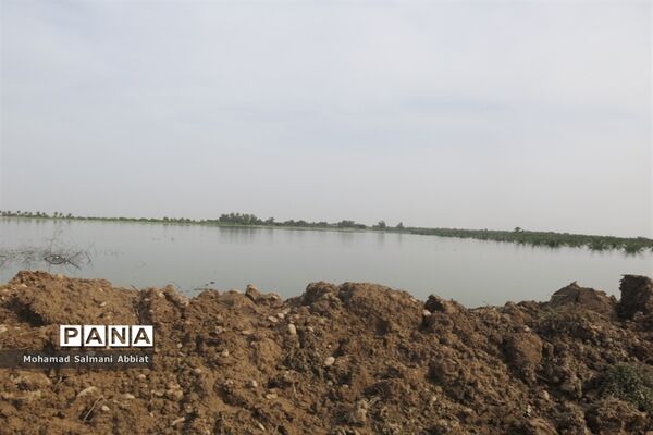 تلاش اهالی روستای ملیحان اهواز برای ترمیم سیل بند