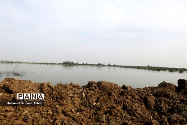 تلاش اهالی روستای ملیحان اهواز برای ترمیم سیل بند