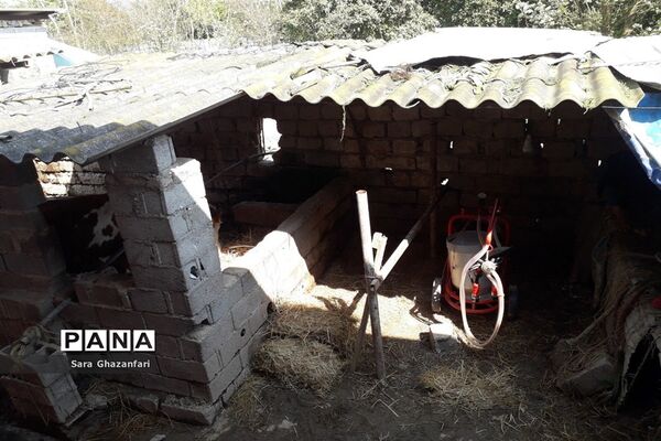 روستای تالارپشت سیمرغ؛ یک ماه بعد از سیل