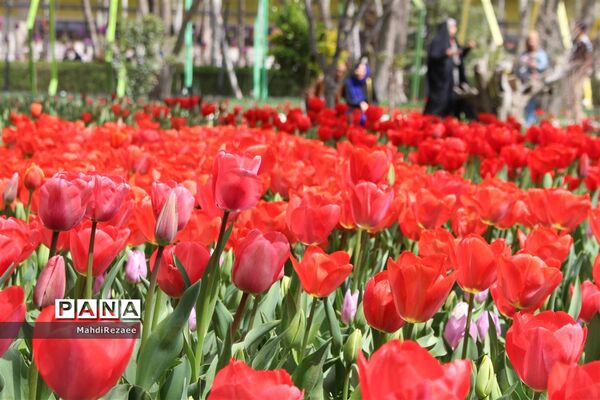 باغ لاله های کرج