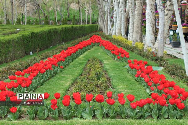 باغ لاله های کرج