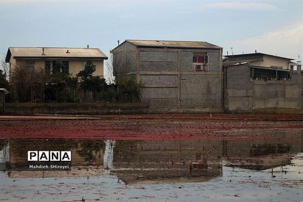 مرگ تدریجی مازندران