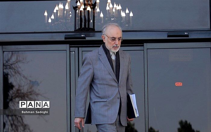 صالحی: دشمن در پی تحریک ایران برای انجام واکنش‌های عجولانه است