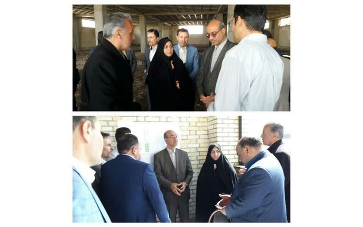 استان قزوین قطب تولید ماهیان زینتی کشور می شود