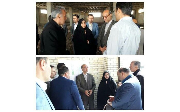 استان قزوین قطب تولید ماهیان زینتی کشور می شود