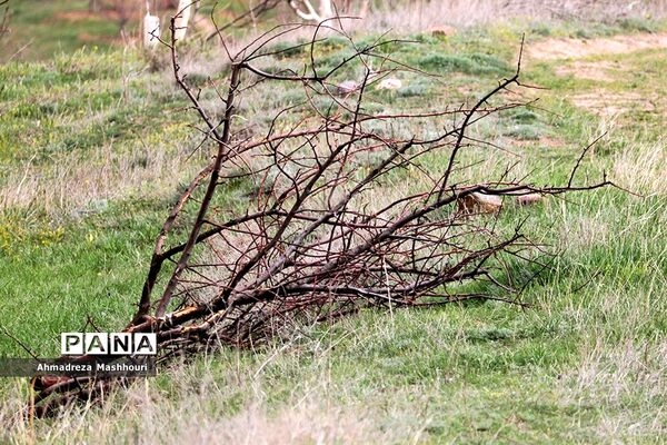 بازدید اصحاب رسانه از منطقه  ارسباران