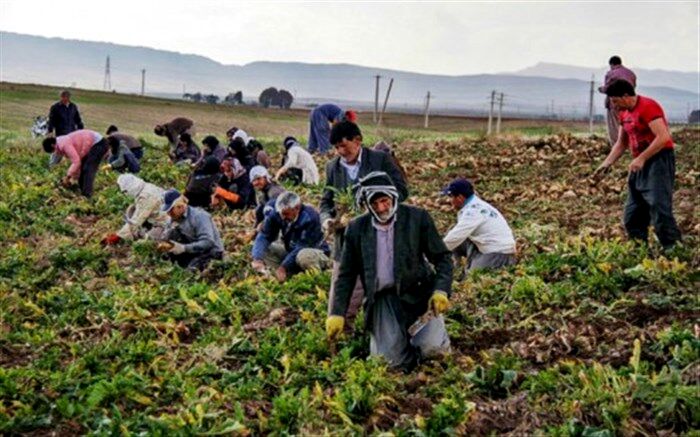 مدیر صندوق بیمه اجتماعی سمنان:7 هزار سرپرست خانوار بیمه نیستند