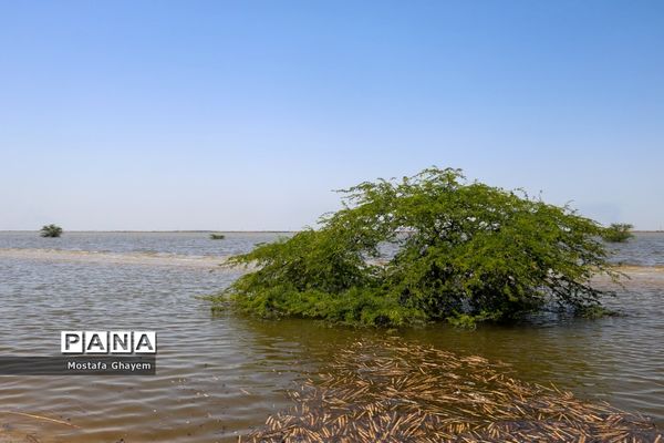 آب گرفتگی مسیراهواز_آبادان و ماهیگیری مردم از تالابها