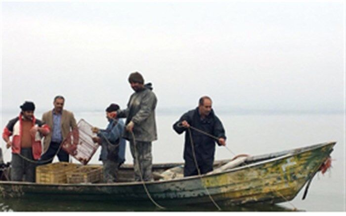 ارزش ۱۰ کیلو ماهی معادل یک بشکه نفت است