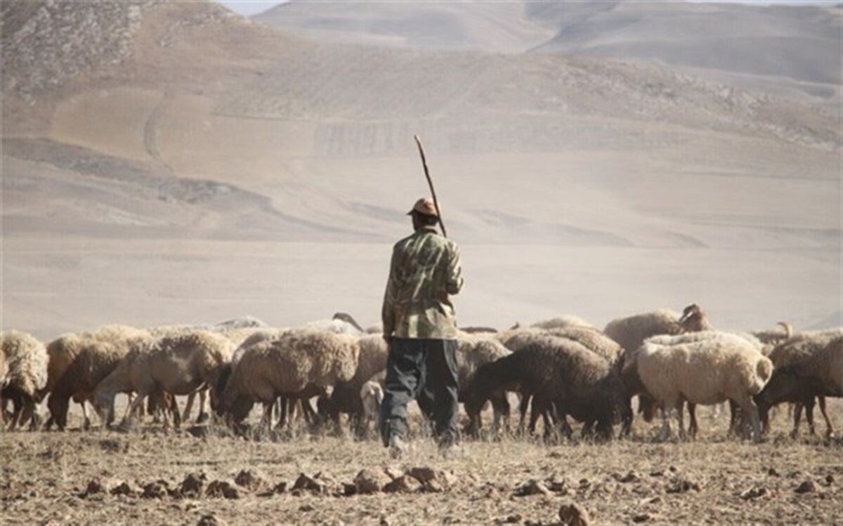 جاری شدن سیل در شیبکوه فسا جان یک چوپان را گرفت
