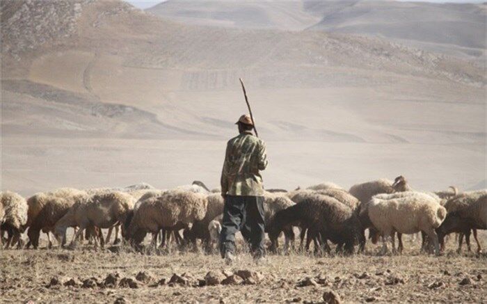 جاری شدن سیل در شیبکوه فسا جان یک چوپان را گرفت