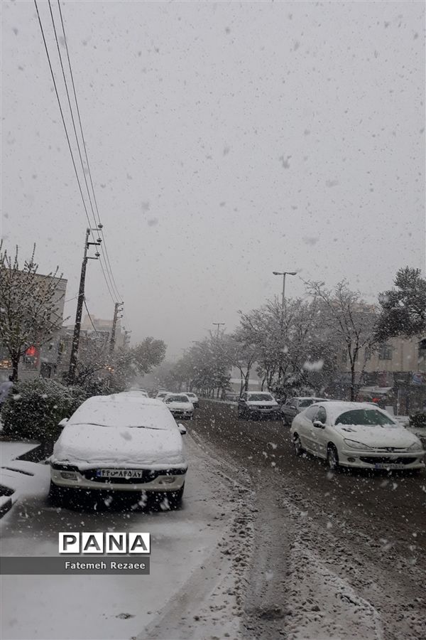 بارش برف بهاری