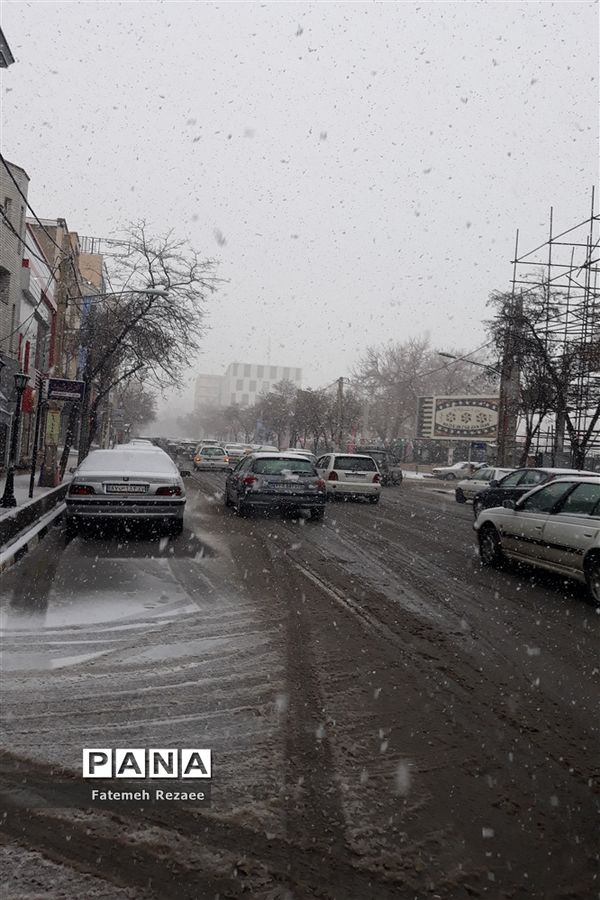 بارش برف بهاری