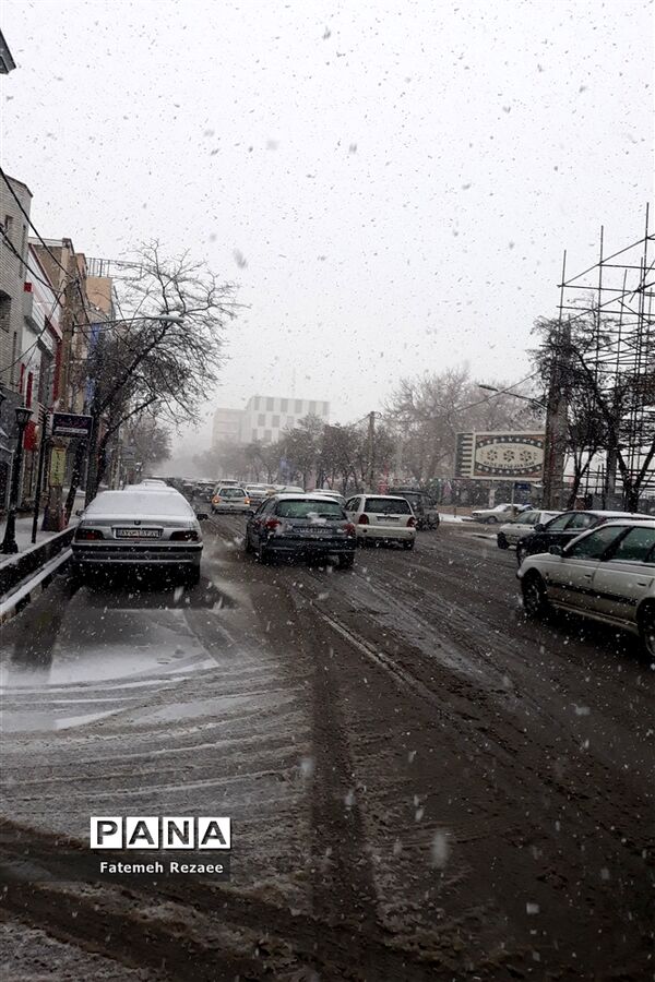 بارش برف بهاری