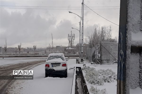 بارش برف بهاری