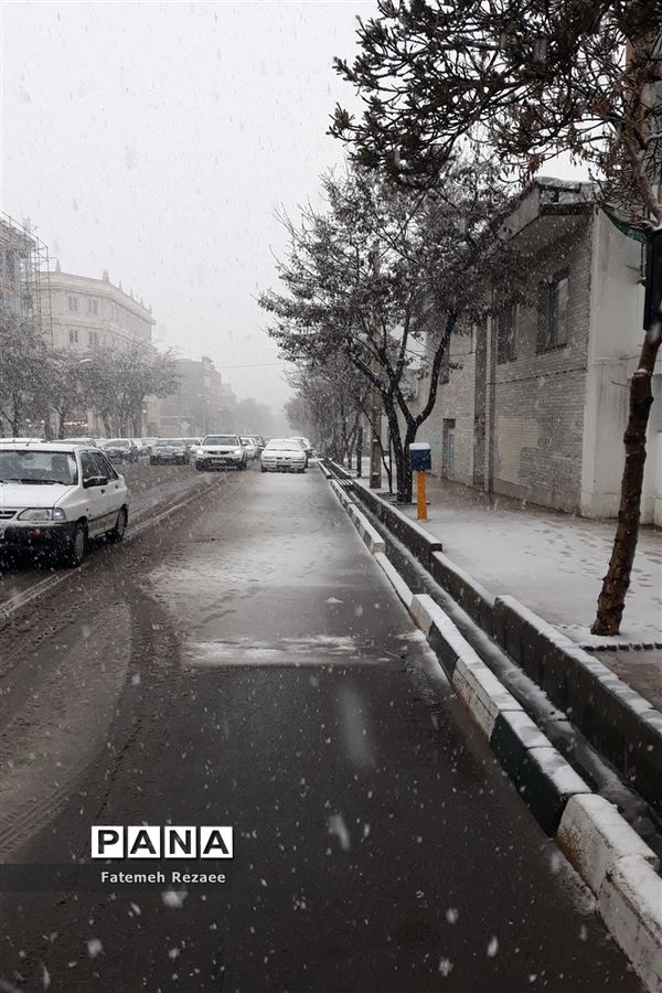 بارش برف بهاری