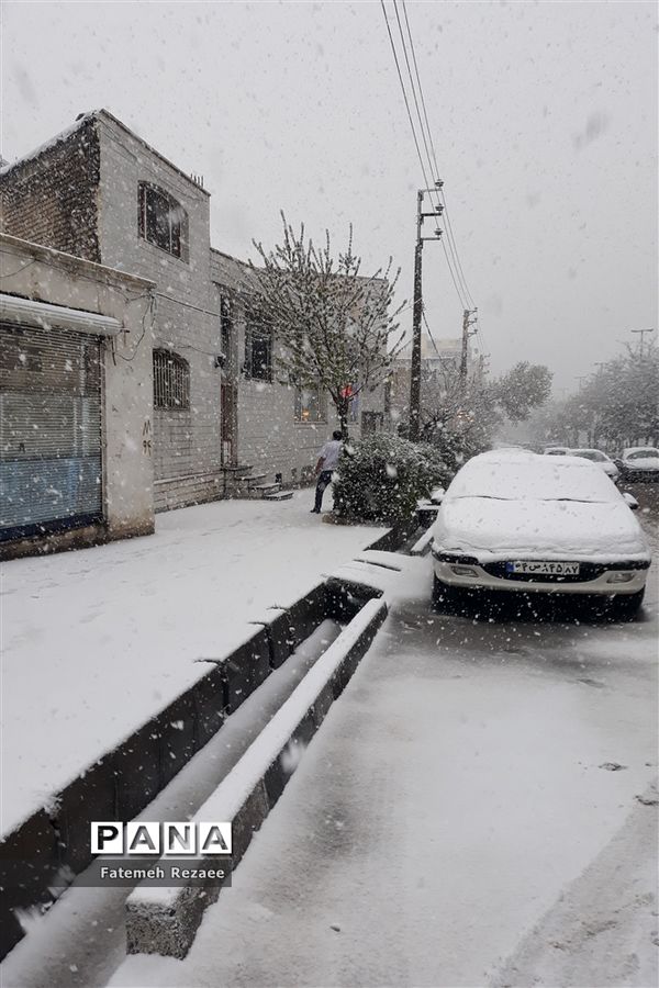 بارش برف بهاری