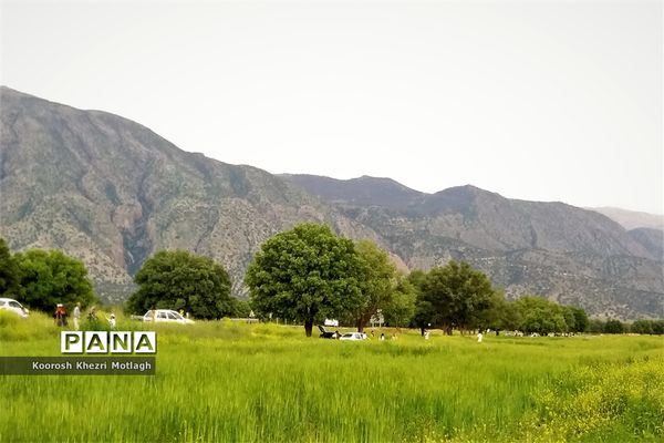 طبیعت زیبای دشت بَرم کازرون