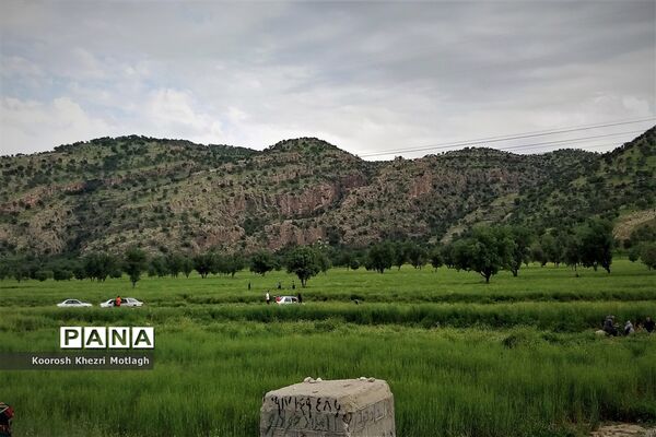 طبیعت زیبای دشت بَرم کازرون