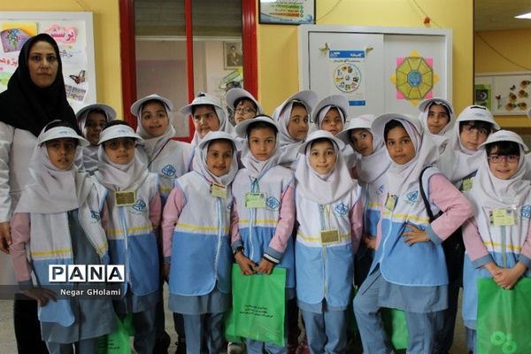 اختتامیه جشنواره سفیران سلامت