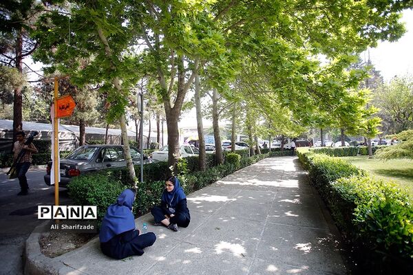 چهارمین جشنواره ملی دانش‌آموزی ابن سینا