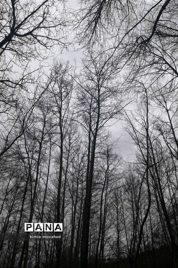 قلم سفید آسمان