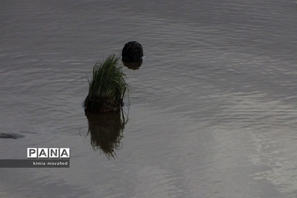 دریاچه عاشق