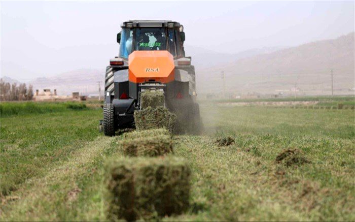 افزایش ۳.۵ میلیون تنی علوفه مرتعی بر اثر رشد بارش‌ها