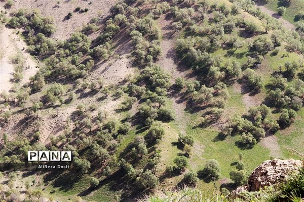 طبیعت زیبای تنگه سرخ سپیدان و یاسوج