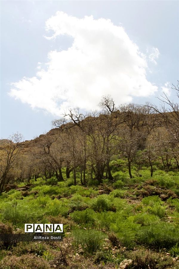 طبیعت زیبای تنگه سرخ سپیدان و یاسوج