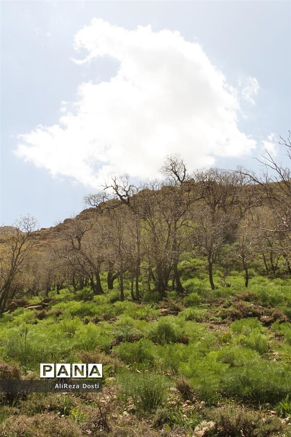 طبیعت زیبای تنگه سرخ سپیدان و یاسوج