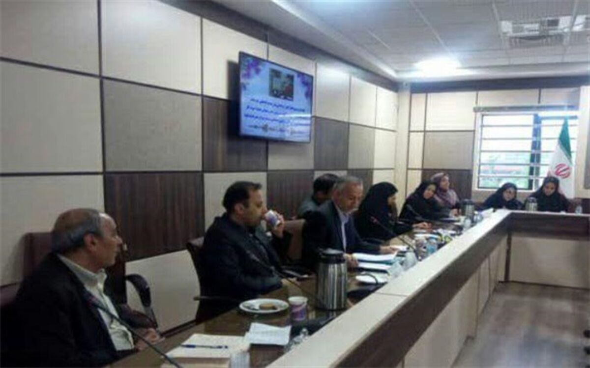 برگزاری شورای مشارکت‌های مردمی وسالمندان شهرستان ملارد
