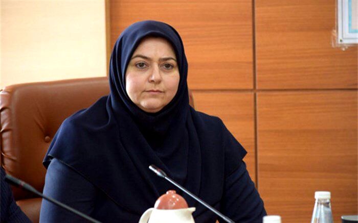 مشکلات خرید هواپیماهای جدید