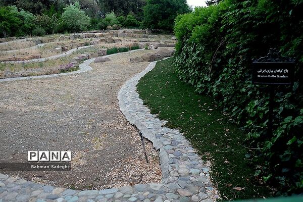 باغ گیاه شناسی ملی ایران