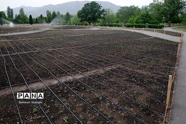 باغ گیاه شناسی ملی ایران