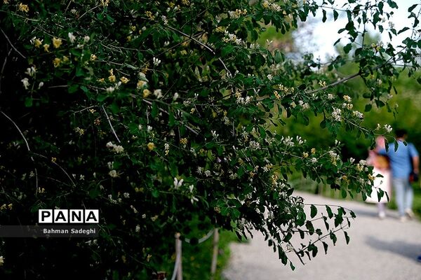 باغ گیاه شناسی ملی ایران