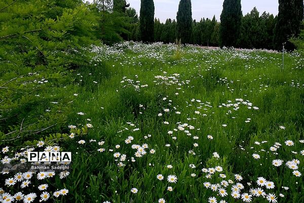 باغ گیاه شناسی ملی ایران