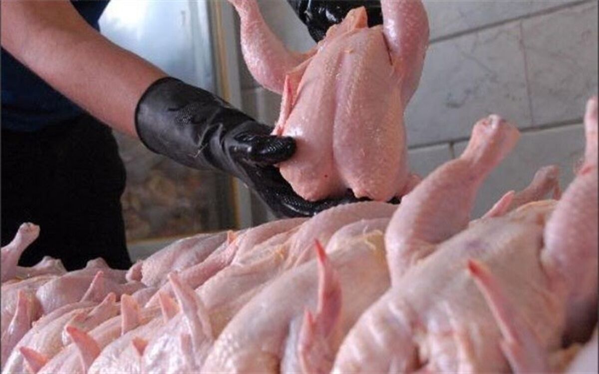 عرضه مرغ در بازار از تقاضا سبقت گرفت