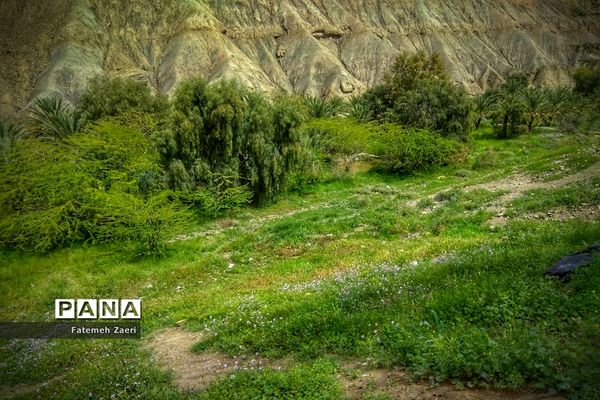 طبیعت امام زاده میر ابول(ع)  لارستان،  در انحصار زباله ها