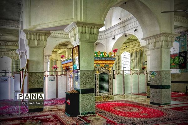 طبیعت امام زاده میر ابول(ع)  لارستان،  در انحصار زباله ها