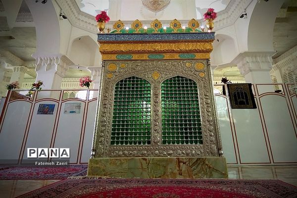 طبیعت امام زاده میر ابول(ع)  لارستان،  در انحصار زباله ها