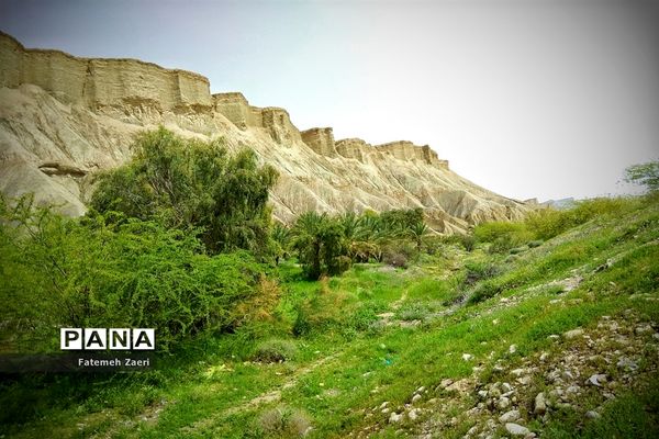 طبیعت امام زاده میر ابول(ع)  لارستان،  در انحصار زباله ها
