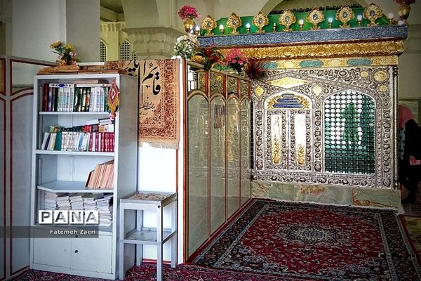 طبیعت امام زاده میر ابول(ع)  لارستان،  در انحصار زباله ها