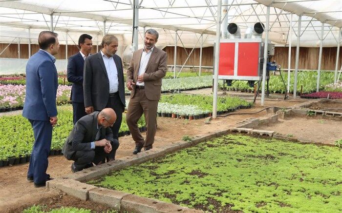 تولید گل و گیاهان متناسب با اقلیم قم کاری در مسیر تحقق اقتصاد مقاومتی است