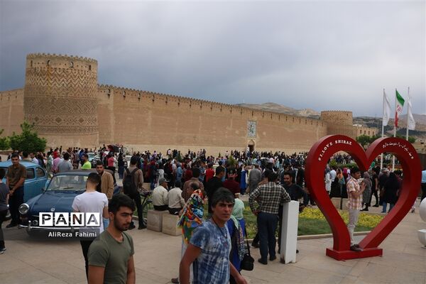 خودنمایی  فولکس واگن ها در شیراز