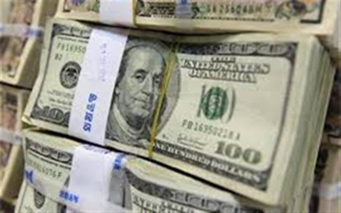 مشاور وزیر اقتصاد: فراریان ارزی مشمول معافیت‌های مالیاتی نمی‌شوند