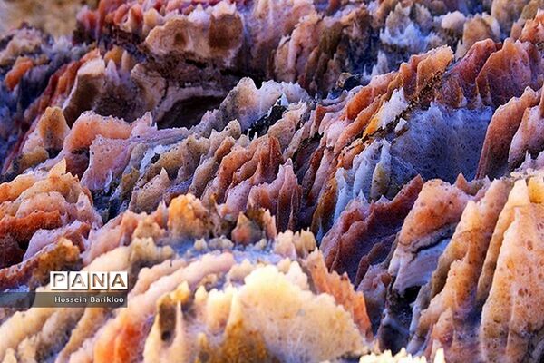 گنبد نمکی قم، تنها گنبد نمکی متقارن جهان