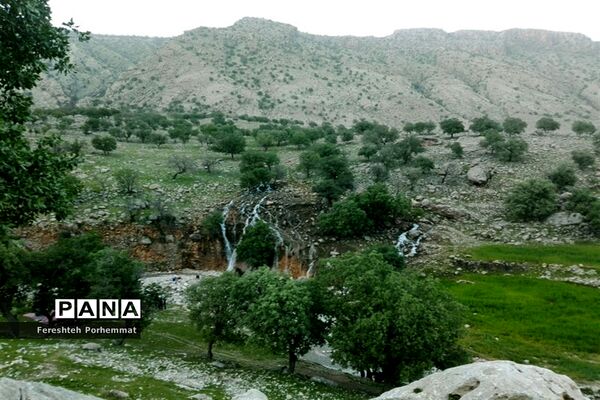 احیای دوباره چهل چشمه در فارس