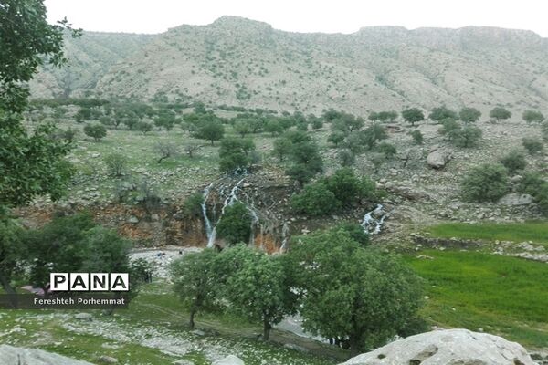 احیای دوباره چهل چشمه در فارس
